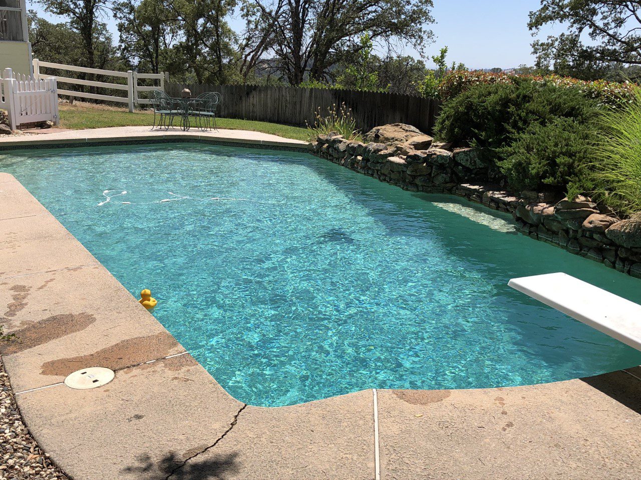 A swimming pool with a rubber ducky