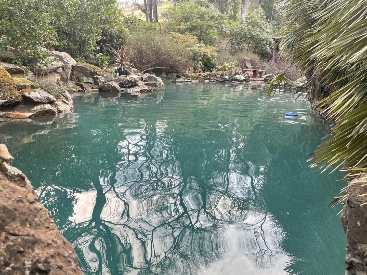 A natural-looking pool